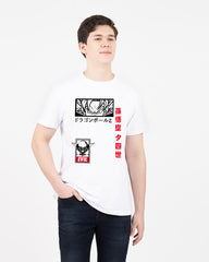 CAMISETA GRAPHICS REGULAR FIT